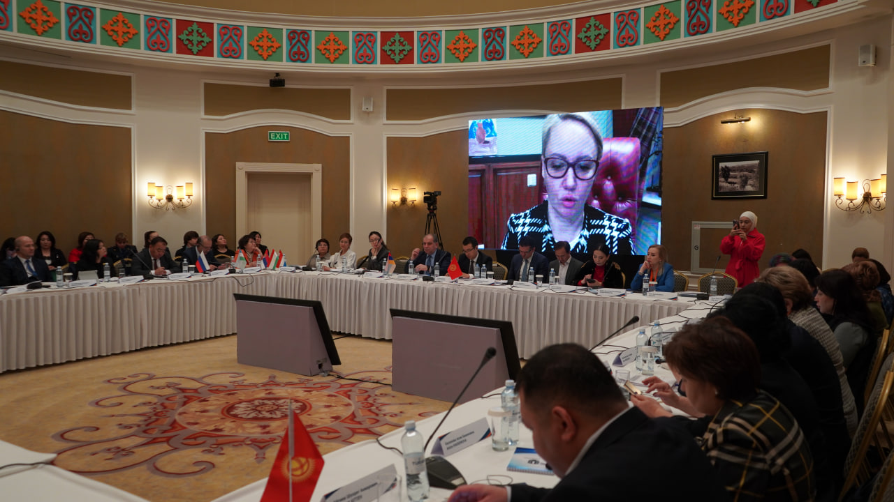 Issues of combating domestic violence discussed with the participation of ombudsmen of the world countries in Kazakhstan