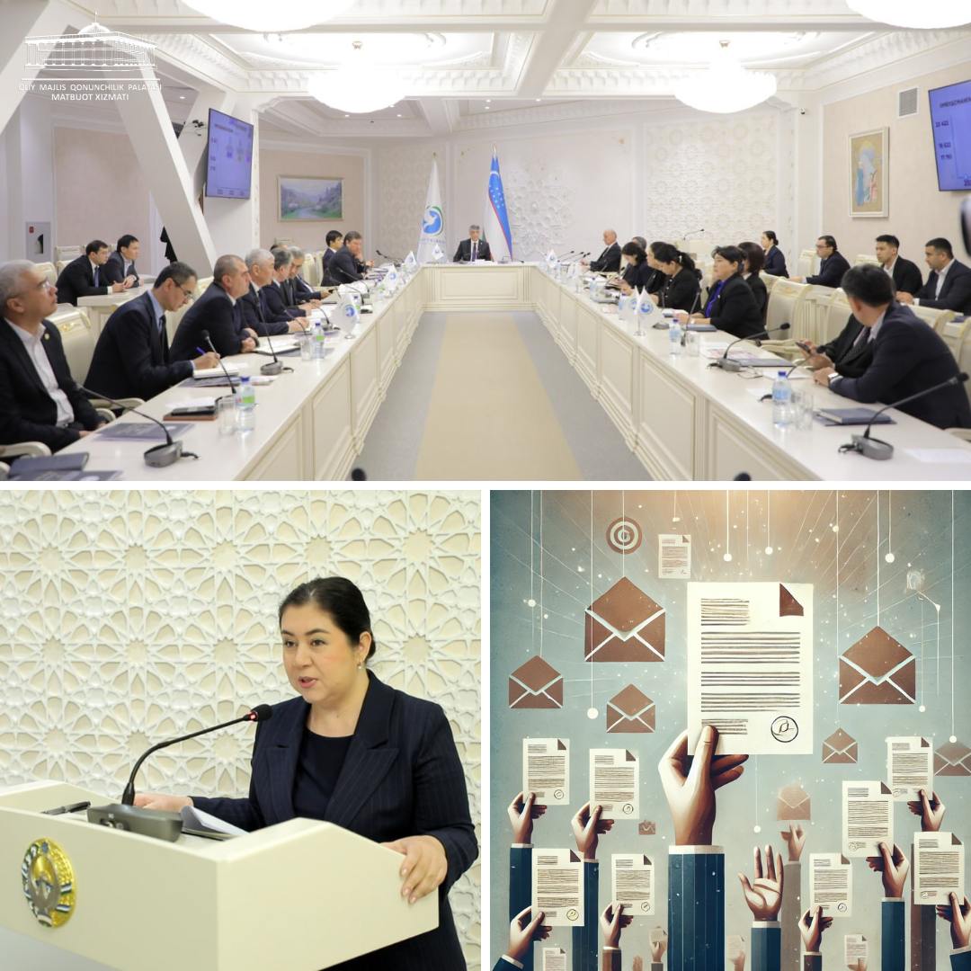 Report on the Ombudsman's Activities for 2024 Reviewed at the Sessions of the Fraktions of the Legislative Chamber of the Oliy Majlis