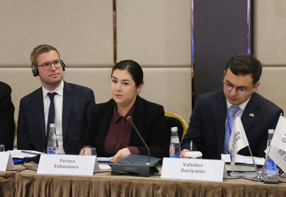 Effective parliamentary oversight: national and international experience