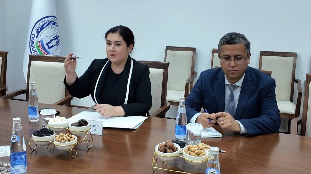 Ombudsman Meets Representative of Germany’s Max Planck Foundation