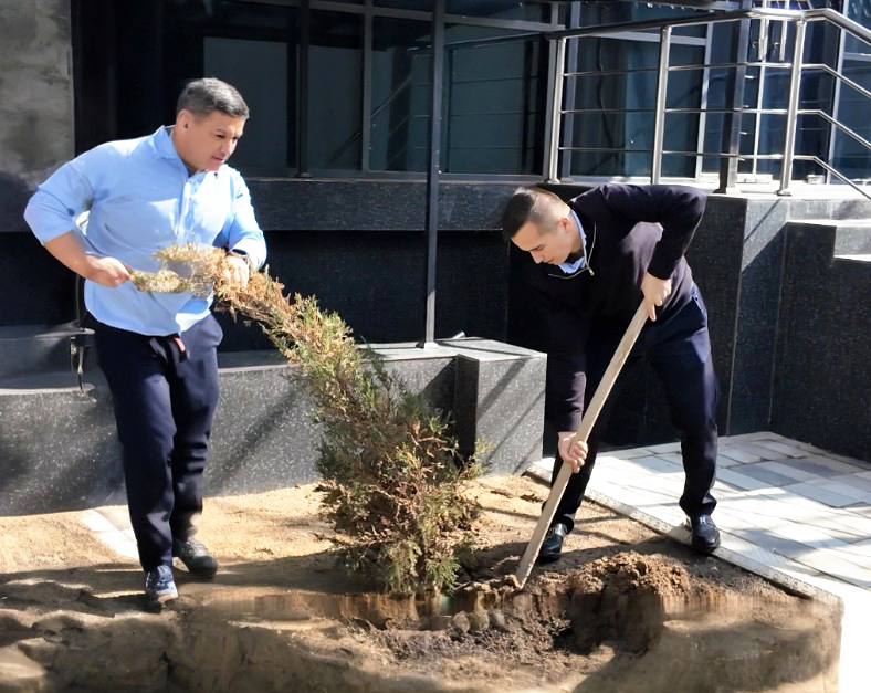 Сотрудники Аппарата Омбудсмана активно приняли участие во всенародном хашаре